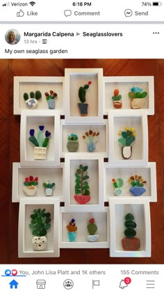 a bunch of small pots and plants are arranged in white boxes on a table top