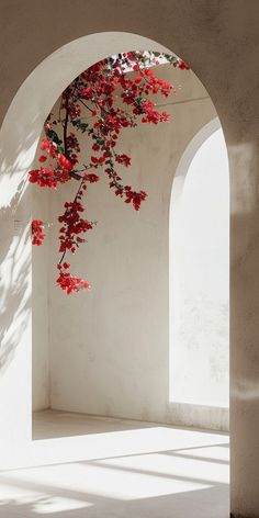 an arch with red flowers hanging from it's sides and sunlight coming through the window