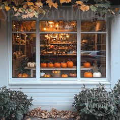 a store front with pumpkins and gourds in the window, on a fall day