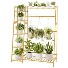 a wooden shelf filled with potted plants