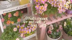 flowers and plants are displayed on shelves at a flower shop, with the words what's meant for me will find me