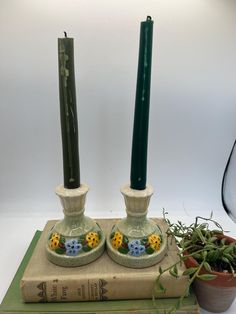 two candles sitting on top of a book next to a potted plant and candle holder