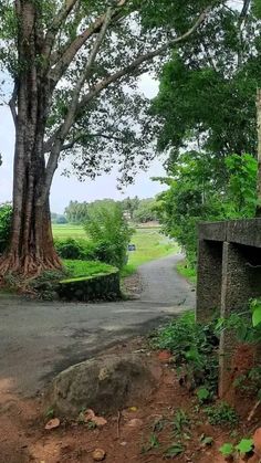 the road is surrounded by lush green trees and bushes, with a stone wall on either side