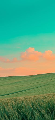 a large field of green grass under a blue sky with some clouds in the distance