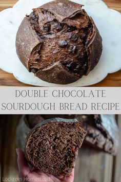 Double chocolate sourdough bread is a fun twist on a tried and true staple. Combing two favorites, sourdough and chocolate, you can’t go wrong! You’ll love this soft, chewy sourdough bread made with cocoa powder along with bursts of chocolatey goodness from the added chocolate chips. This indulgent bread has a rich chocolate flavor along with the benefits of fermented sourdough bread. Chocolate Chunk Sourdough Bread, Bucket Bread Recipe, Choc Sourdough Bread, Dark Chocolate Sourdough Bread, Littlespoonfarm Sourdough Brownies, Cooking Sourdough Bread, Hot Cocoa Sourdough, Little Spoon Farm Sourdough Bread, Sourdough Brownie Bread