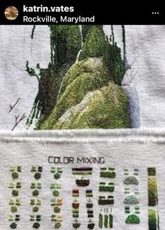 the back side of a t - shirt with an image of a tree on it