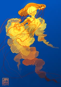 an orange jellyfish floating in the ocean