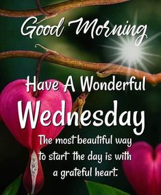 good morning have a wonderful wednesday the most beautiful way to start the day is with a grateful heart