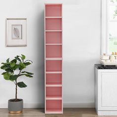 a pink book shelf next to a potted plant in a room with white walls