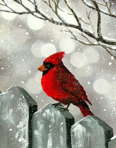 a red bird sitting on top of a fence post in the snow with trees behind it