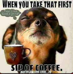 a dog with its eyes closed next to a coffee cup that says, when you take that first sip of coffee