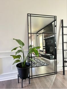 a mirror sitting on top of a hard wood floor next to a potted plant