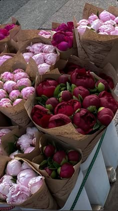 peony pink and deep pink colors Peonies Bouquet, Beautiful Bouquet Of Flowers, Luxury Flowers, Types Of Flowers, Beautiful Bouquet