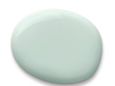 a light green round object on a white background with clipping for text or image