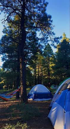 there are many tents set up in the woods