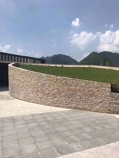 a stone wall with grass growing on top