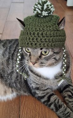 a cat laying on the floor wearing a knitted hat