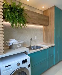 a washer and dryer in a small room with green plants on the wall