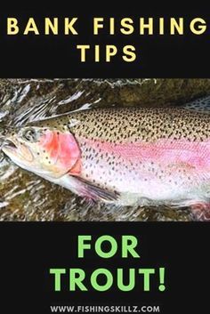 a rainbow colored fish with the words bank fishing tips for trout on it's side