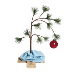 a small pine tree with a red ornament hanging from it