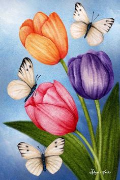 three tulips and two butterflies on a blue background