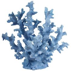 an image of a blue coral on a white background with watercolor paint and ink