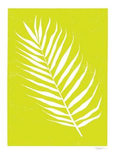 a white palm leaf on a yellow background