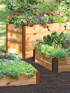 an iphone photo showing several wooden planters with plants growing in them and the text elevated cedar raised bed, 2'x 8 '