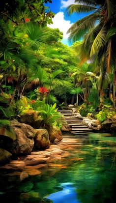 an image of a tropical scene with water and trees