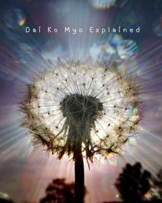 The article explains the Dai Ko Myo, Reiki’s Master symbol, known for its powerful spiritual healing and enlightenment energy. It covers its meaning, uses, and role in attunement. Reiki Master, Spiritual Healing, Spirituality