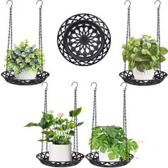 four hanging planters with plants in them