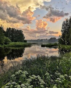 the sun is setting over a lake with flowers in front of it and clouds above