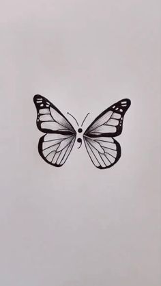 a black and white drawing of a butterfly