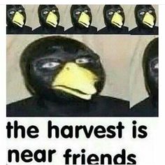 a group of people wearing black masks with the caption, the harvest is near friends