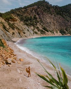 a dog walking on the beach next to some water and hills with trees in the background