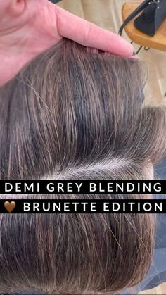 Emily Chen on Instagram: "Think of permanent color as a full coverage lipstick, and demi color as tinted lipgloss. Or painted cabinets vs stained cabinets. Permanent color will give you the heaviest coverage, but it’ll also give you the most dramatic regrowth line. Demi offers less coverage, but a more subtle & graceful growout. My client here was sick of having to color her regrowth every 4 weeks, but she wasn’t ready to go full-on grey. Our goal was to get her to a level 6 demi base so that she’s able to stretch her regrowth maintenance visits to 6-8 weeks. This was my client’s second blending session in her transition from opaque permanent color to translucent demi color and we both LOVED how it came out 😍 We’ll be doing one more blending session with babylights in about 8 weeks, th Blending Gray With Brown Hair, Babylights To Blend Grey, Gray Hair With Root Smudge, Brown Hair Blended With Gray, Base Hair Color Shades, Level 6 Cool Brown Hair, Heavy Highlights To Cover Gray, Hair Colors That Blend With Grey Hair, Hair Color Ideas For Brunettes Blending Grey