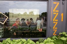 several people are reflected in the window of a building with green plants growing on it