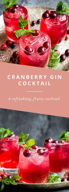 cranberry gin cocktail with mint garnish on the rim and in glasses