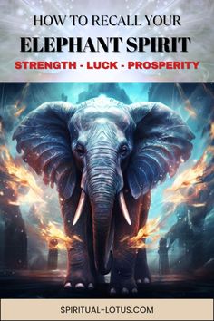 an elephant with the words how to recall your elephant spirit strength luck prosperity on it