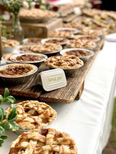 many pies are lined up on a table