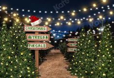 christmas tree sale sign with santa hat on top and lights in the background at night