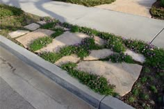 a stone walkway with flowers growing on it