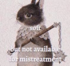 an image of a rabbit holding a stick with the words soft but not available for misreatment