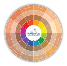 Eyeshadow Color Wheel, Color Wheel For Makeup Artist, Makeup Color Theory, Colour Theory Skin Tone, Color Wheel For Makeup, Color Wheel Makeup, Color Theory Skin Tone, Color Theory Makeup, Skin Tone Chart