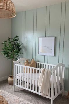 a white crib in a green room with a potted plant on the floor