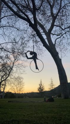 a person on a hoop suspended in the air by a tree at sunset or dawn