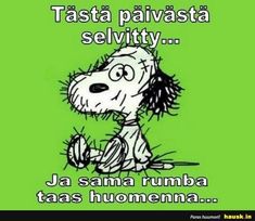 a cartoon dog sitting on top of a green background with the words, tasta payasta selvesty