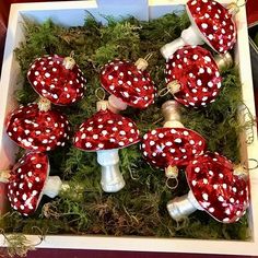 red and white polka dot christmas ornaments in a box on the ground with moss growing around them