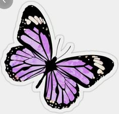 a purple butterfly with white spots on it's wings