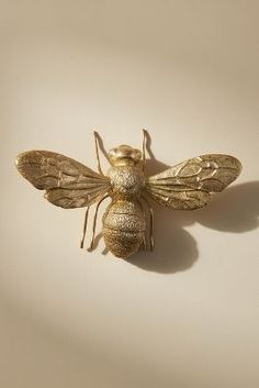 a gold colored insect sitting on top of a white surface